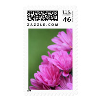 Shut not so soon postage