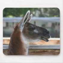SHUT UP N KISS MOUSEPAD by soul1963 SHUT UP N KISS MOUSEPAD