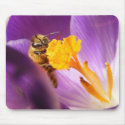 Shy Bee ~ mousepad by Andy2302 Shy Bee ~ mousepad