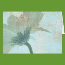 shy blue card