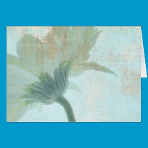 shy blue card