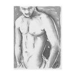 Shy Boy postcards