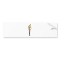Shy Bumper Sticker