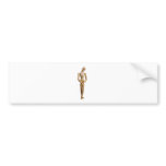 Shy Bumper Sticker