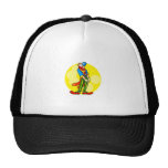 Shy Clown Mesh Hats