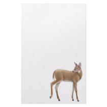 Shy Doe Stationery by tpccards Shy Doe Stationery