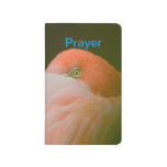 Shy Flamingo Prayer Journal