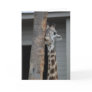 "Shy Giraffe" Greeting Card