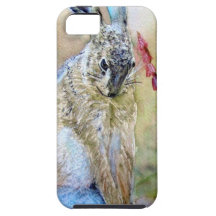 Shy Hare Products iPhone 5 Covers