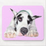 Shy Harlequin Great Dane Mouse Mat
