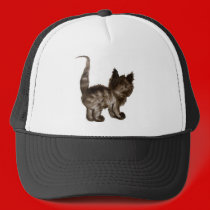 Shy kitty hats