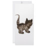 Shy kitty rack card design
