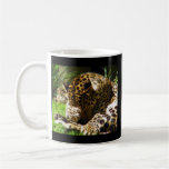 Shy Leopard Coffee Mugs