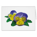 Shy Little Pansy card