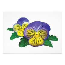 Shy Little Pansy Custom Invitations
