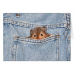 shy peekaboo cards