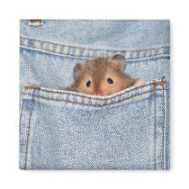shy peekaboo magnets