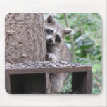 Shy Raccoon Mousepad