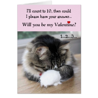 Shy Valentine Kitty Card