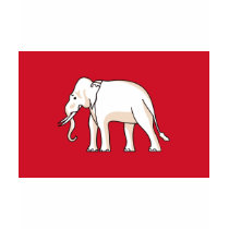 Siam Flag t-shirts