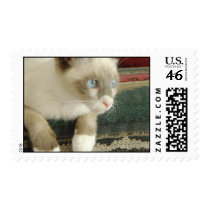 Siam, I Am postage by Candys_Cats Siam, I Am postage