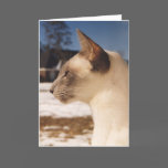 Siamese Blue Point Cat in Snow cards