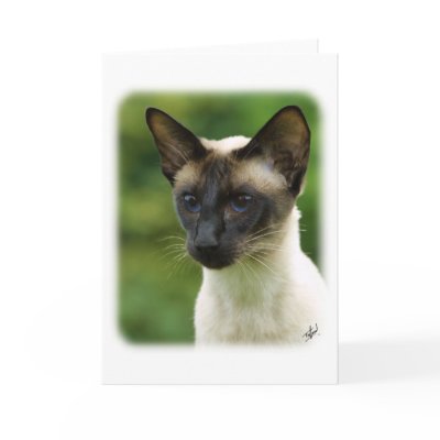 Siamese Cat 9W027D-133 greeting cards