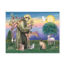 Siamese Cat and St Francis postcards by catartgifts Siamese Cat and St Francis postcards