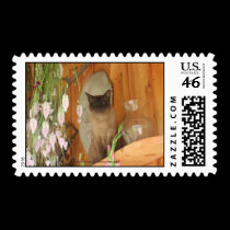Siamese Cat Animal Photography Postage Stamp #1 by SmilinEyesTreasures Siamese Cat Animal Photography Postage Stamp #1
