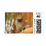 Siamese Cat Animal Photography Postage Stamp #1