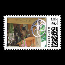 Siamese Cat Animal Photography Postage Stamp #2 by SmilinEyesTreasures Siamese Cat Animal Photography Postage Stamp #2