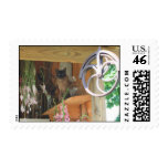 Siamese Cat Animal Photography Postage Stamp #2