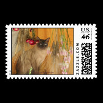 Siamese Cat Animal Photography Postage Stamp #3 by SmilinEyesTreasures Siamese Cat Animal Photography Postage Stamp #3