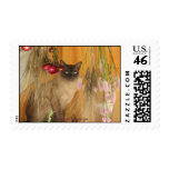 Siamese Cat Animal Photography Postage Stamp #3