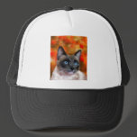 Siamese Cat Art Fire and Ice painting Mesh Hats