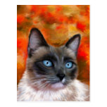 Siamese Cat Art Fire and Ice painting Post Card