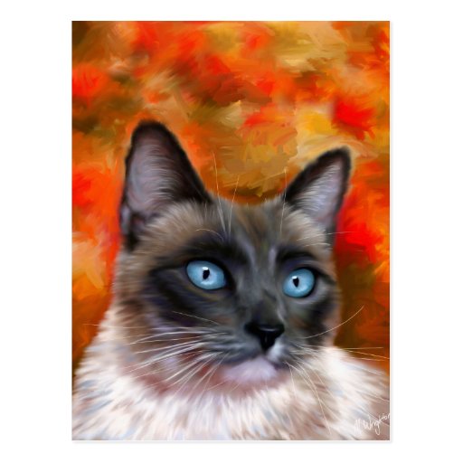 Siamese Cat Art Fire and Ice painting Post Card