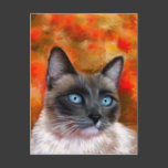 Siamese Cat Art Fire and Ice painting Post Card