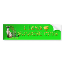 Siamese Cat  Bumper Sticker bumper stickers