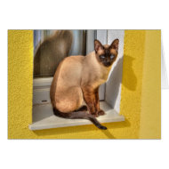 Siamese Cat card