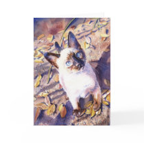 "Siamese Cat" Card by MaryKayWilson "Siamese Cat" Card