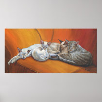 Siamese Cat Cats "Family Nap" Art poster