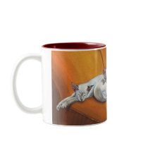 Siamese Cat Cats "Family Nap" Mug Cup