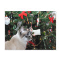 Siamese cat Christmas postcards by deemac1 Siamese cat Christmas postcards