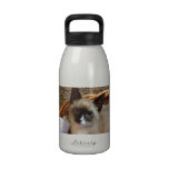 Siamese cat cute drinking bottles