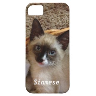 Siamese cat cute iPhone 5 cases