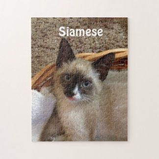 siamese cat jigsaw puzzle