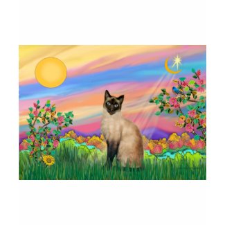 Chocolate Point Siamese Cat in Day Star