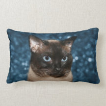 Siamese cat face pillow