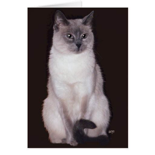Siamese Cat Greeting Cards